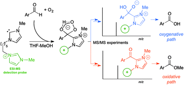 Graphical abstract: An insight into the mechanism of the aerobic oxidation of aldehydes catalyzed by N-heterocyclic carbenes