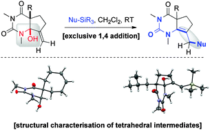 Graphical abstract: Structural analysis and reactivity of unusual tetrahedral intermediates enabled by SmI2-mediated reduction of barbituric acids: vinylogous N-acyliminium additions to α-hydroxy-N-acyl-carbamides