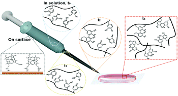 Graphical abstract: Catalyst-mediated yet catalyst-free hydrogels formed by interfacial chemical activation