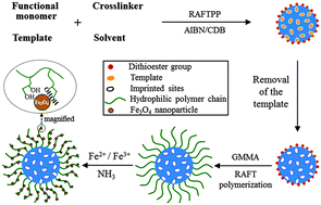 Graphical abstract: Efficient synthesis of narrowly dispersed hydrophilic and magnetic molecularly imprinted polymer microspheres with excellent molecular recognition ability in a real biological sample