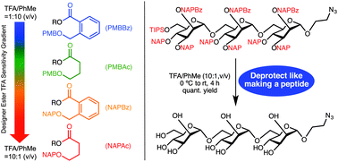 Graphical abstract: Tunable acid-sensitive ester protecting groups in oligosaccharide synthesis