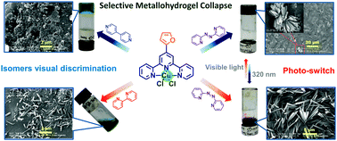 Graphical abstract: Photoresponsive metallo-hydrogels based on visual discrimination of the positional isomers through selective thixotropic gel collapse