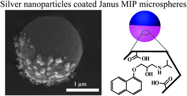 Graphical abstract: Janus molecularly imprinted polymer particles