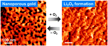 Graphical abstract: In situ monitoring of the Li–O2 electrochemical reaction on nanoporous gold using electrochemical AFM