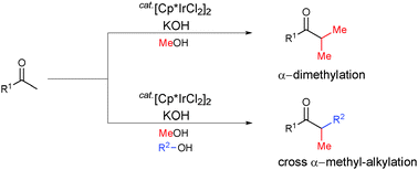 Graphical abstract: Iridium-catalyzed selective α-methylation of ketones with methanol