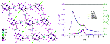 Graphical abstract: Layer structural bimetallic metamagnets obtained from the aggregation of Ru2(CO3)43− and Co2+ in existence of halogen