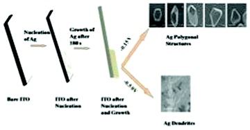 Graphical abstract: Electrodeposition of silver nanostructures: from polygons to dendrites