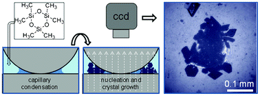 Graphical abstract: Two-step crystal nucleation via capillary condensation