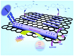 Graphical abstract: Synthesis of graphene–ZnO nanorod nanocomposites with improved photoactivity and anti-photocorrosion