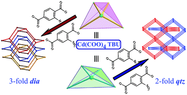 Graphical abstract: Achiral diamondoid or chiral quartz net: the effect of substituents in the topology and catenation of coordination polymers based on tetrahedral Cd(COO)4 building units