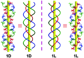 Graphical abstract: Interweaving of two enantiomorphic 3D Cd(ii)/K(i) coordination polymers with homochiral unequal triple concentric helical chains