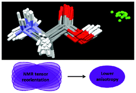 Graphical abstract: A molecular dynamics study of the effects of fast molecular motions on solid-state NMR parameters