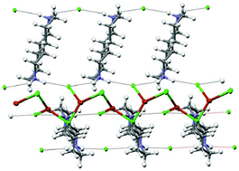 Graphical abstract: A new copper chloride chain by supported hydrogen bonding