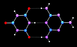 Graphical abstract: The structure of the melamine–cyanuric acid co-crystal