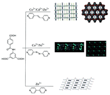 Graphical abstract: Ancillary ligand-assisted structural diversity of six new MOFs with 5-(4-carboxybenzoylamino)-isophthalic acid: syntheses, crystal structures and photoluminescence properties