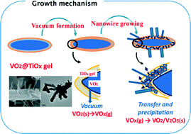 Graphical abstract: Core-regenerated vapor–solid growth of hierarchical stem-like VOx nanocrystals on VO2@TiO2 core–shell nanorods: microstructure and mechanism