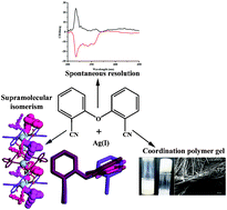 Graphical abstract: A structurally versatile coordination polymer: demonstrating spontaneous resolution, conformational polymorphism and gel formation