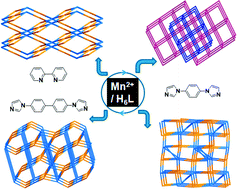 Graphical abstract: Construction of porous Mn(ii)-based metal–organic frameworks by flexible hexacarboxylic acid and rigid coligands