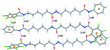 Graphical abstract: Anti-parallel sheet structures of side-chain-free γ-, δ-, and ε-dipeptides stabilized by benzene–pentafluorobenzene stacking