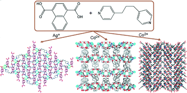 Graphical abstract: Construction of a series of coordination polymers based on 1,4-naphthalenedicarboxylic and flexible dipyridyl ligands