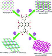 Graphical abstract: Five MOFs with different topologies based on anthracene functionalized tetracarboxylic acid: syntheses, structures, and properties