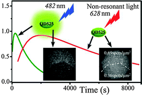 Graphical abstract: Photobleaching of quantum dots by non-resonant light
