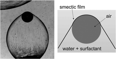 Graphical abstract: Measurement of the interface tension of smectic membranes in water