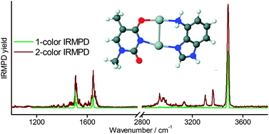 Graphical abstract: Investigation by two-color IR dissociation spectroscopy of Hoogsteen-type binding in a metalated nucleobase pair mimic