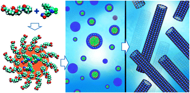Graphical abstract: Drug-loaded nanoparticles and supramolecular nanotubes formed from a volatile microemulsion with bile salt derivatives