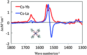 Graphical abstract: A novel correlation of vibrational circular dichroism spectra with the electronic ground state for Δ-SAPR-8-cesium-tetrakis((+)-heptafluorobutyryl-camphorato)lanthanide(iii) complexes