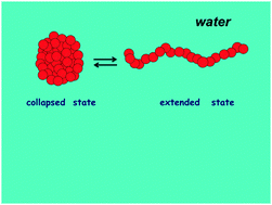 Graphical abstract: On the signature of the hydrophobic effect at a single molecule level