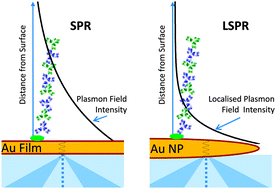 Graphical abstract: Measurement of the localised plasmon penetration depth for gold nanoparticles using a non-invasive bio-stacking method