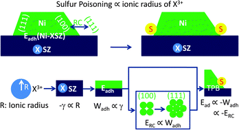 Graphical abstract: Origin of electrolyte-dopant dependent sulfur poisoning of SOFC anodes