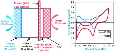 Graphical abstract: Estimation of electrode ionomer oxygen permeability and ionomer-phase oxygen transport resistance in polymer electrolyte fuel cells