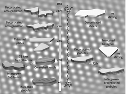 Graphical abstract: A flexible, bolaamphiphilic template for mesoporous silicas