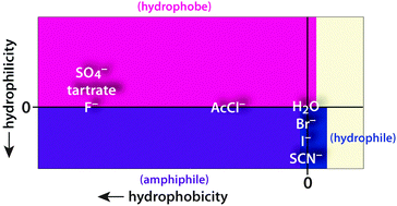 Graphical abstract: 1-Propanol probing methodology: two-dimensional characterization of the effect of solute on H2O