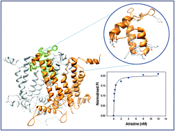 Graphical abstract: Design and biophysical characterization of atrazine-sensing peptides mimicking the Chlamydomonas reinhardtii plastoquinone binding niche