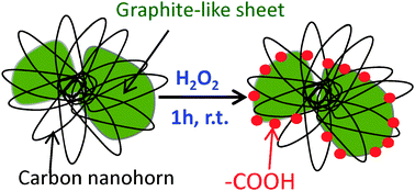 Graphical abstract: Carboxylation of thin graphitic sheets is faster than that of carbon nanohorns