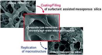 Graphical abstract: Water adsorption properties controlled by coating/filling ordered mesoporous silica inside cellulose membranes