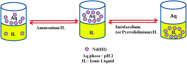 Graphical abstract: Liquid–liquid extraction of neodymium(iii) by dialkylphosphate ionic liquids from acidic medium: the importance of the ionic liquid cation