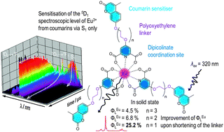 Graphical abstract: Energy transfer in coumarin-sensitised lanthanide luminescence: investigation of the nature of the sensitiser and its distance to the lanthanide ion