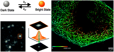 Graphical abstract: Single-molecule localization microscopy – near-molecular spatial resolution in light microscopy with photoswitchable fluorophores