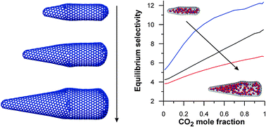 Graphical abstract: Separation of CO2–CH4 mixtures on defective single walled carbon nanohorns – tip does matter