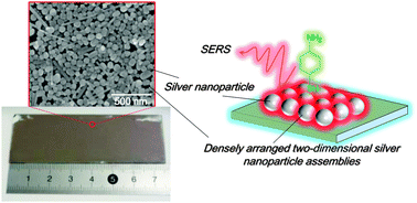 Graphical abstract: Densely arranged two-dimensional silver nanoparticle assemblies with optical uniformity over vast areas as excellent surface-enhanced Raman scattering substrates