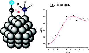 Graphical abstract: Investigation of the surface chemistry of phosphine-stabilized ruthenium nanoparticles – an advanced solid-state NMR study