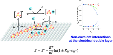 Graphical abstract: Non-covalent interactions at electrochemical interfaces: one model fits all?