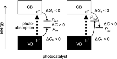 Graphical abstract: Revisiting the fundamental physical chemistry in heterogeneous photocatalysis: its thermodynamics and kinetics