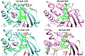 Graphical abstract: Non-equivalent conformations of d-amino acid oxidase dimer from porcine kidney between the two subunits. Molecular dynamics simulation and photoinduced electron transfer
