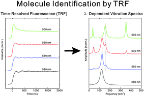 Graphical abstract: Identification of an emitting molecular species by time-resolved fluorescence applied to the excited state dynamics of pigment yellow 101