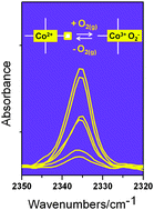 Graphical abstract: Outer Co(ii) ions in Co-ZIF-67 reversibly adsorb oxygen from both gas phase and liquid water